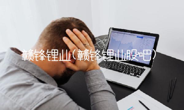 赣锋锂业(赣锋锂业股吧)