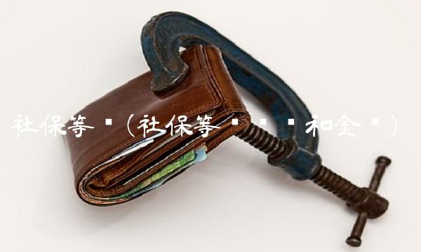 社保等级(社保等级类别和金额)