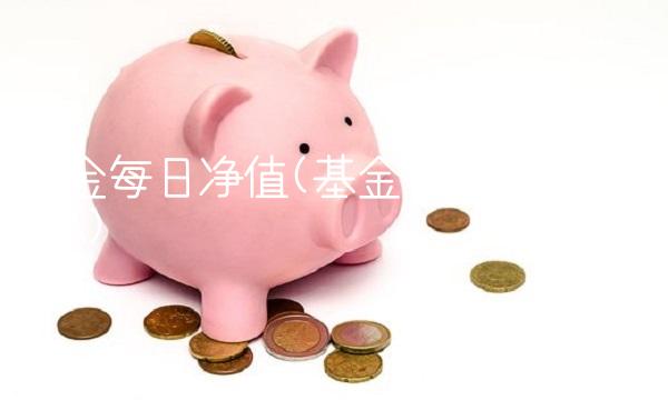 基金每日净值(基金每日净值400015)