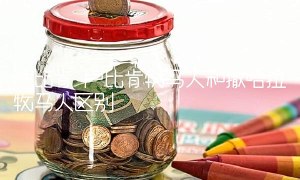 卢比肯 卢比肯牧马人和撒哈拉牧马人区别