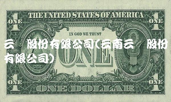 云铝股份有限公司(云南云铝股份有限公司)