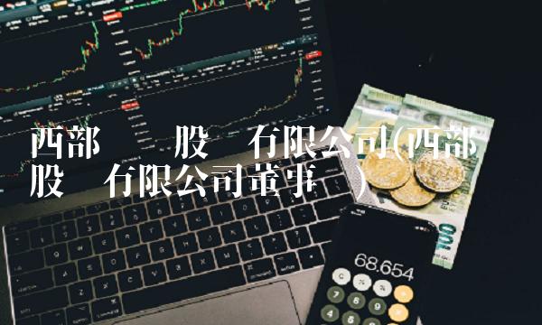 西部矿业股份有限公司(西部矿业股份有限公司董事长)