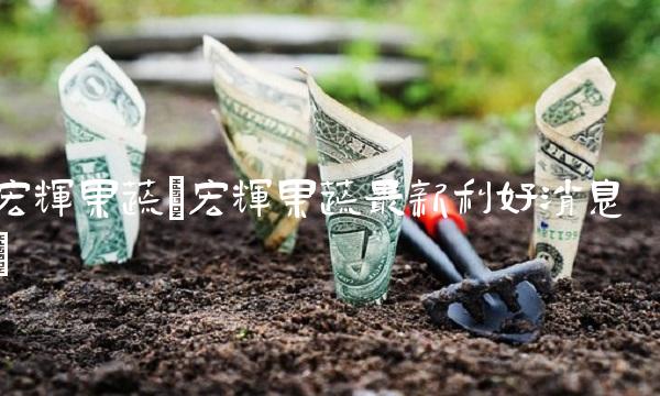 宏辉果蔬(宏辉果蔬最新利好消息)