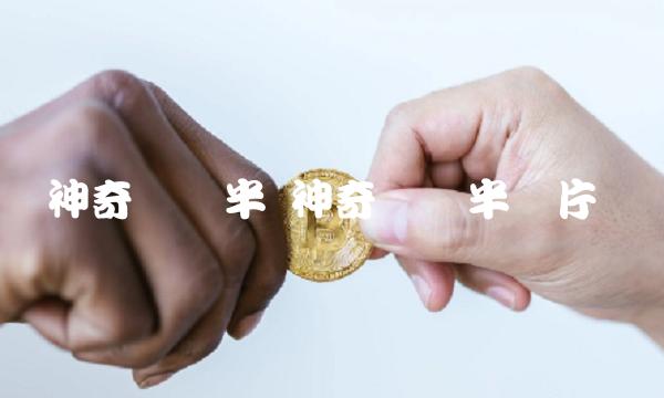 神奇两点半 神奇两点半图片