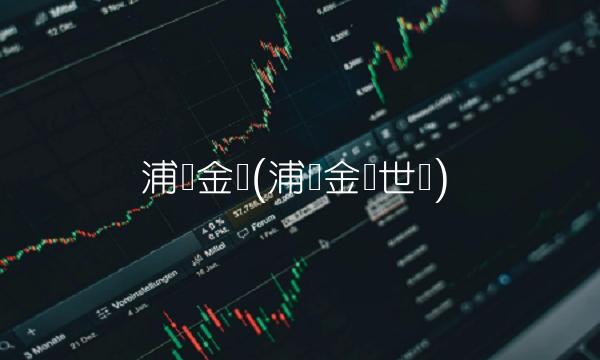 浦东金桥(浦东金桥世纪)