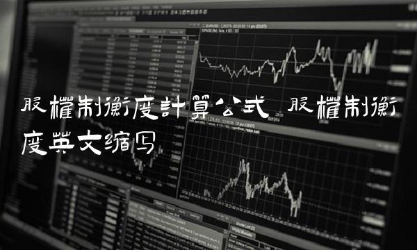 股权制衡度计算公式 股权制衡度英文缩写