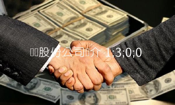 纳尔股份公司简介 1;3;0;0