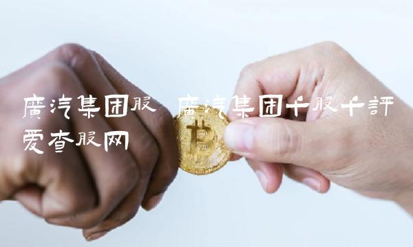 广汽集团股 广汽集团千股千评爱查股网