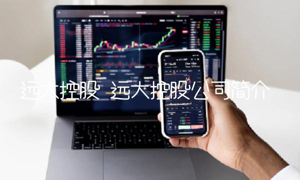 远大控股 远大控股公司简介