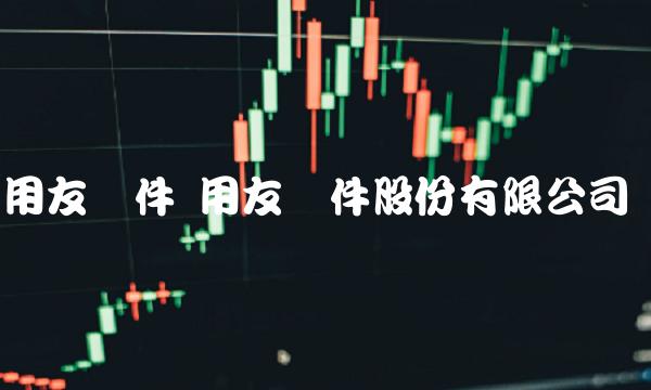 用友软件 用友软件股份有限公司