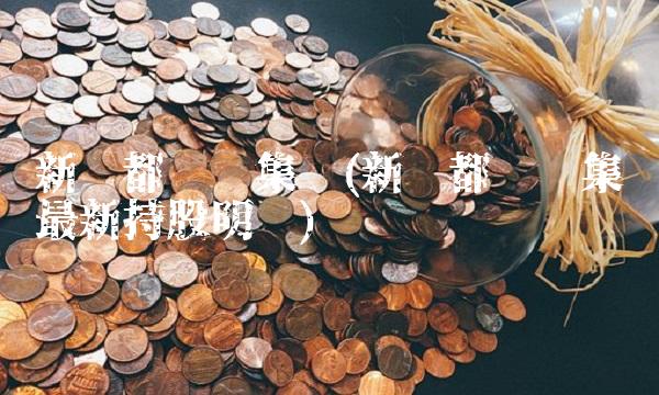 新华都实业集团(新华都实业集团最新持股明细)