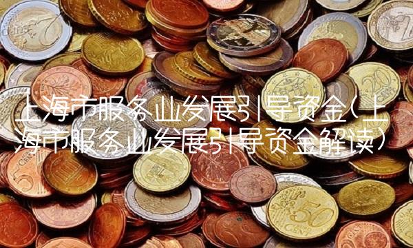 上海市服务业发展引导资金(上海市服务业发展引导资金解读)