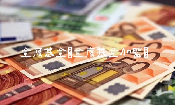 金鹰基金(金鹰基金加盟)