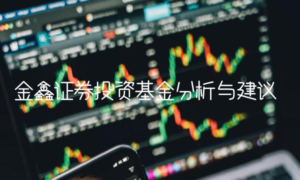 金鑫证券投资基金分析与建议