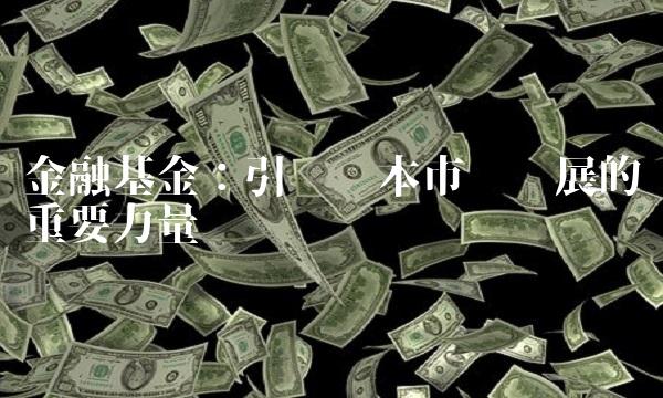 金融基金：引领资本市场发展的重要力量