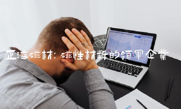 正海磁材：磁性材料的领军企业