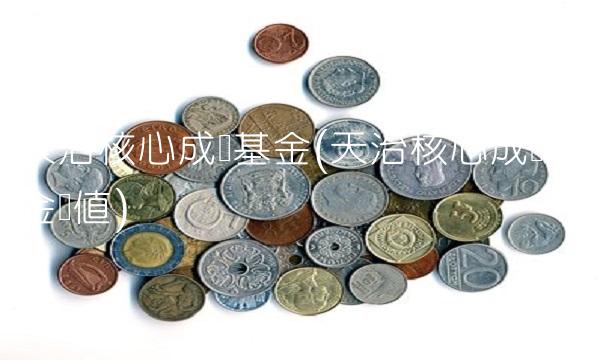 天治核心成长基金(天治核心成长基金净值)