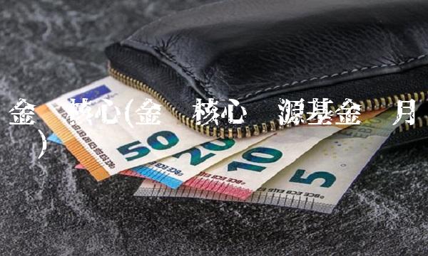 金鹰核心(金鹰核心资源基金每月净值)