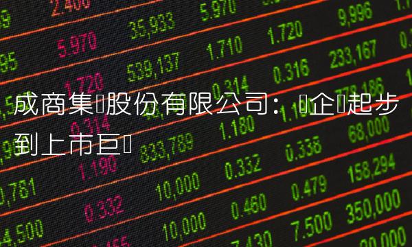 成商集团股份有限公司：从企业起步到上市巨头