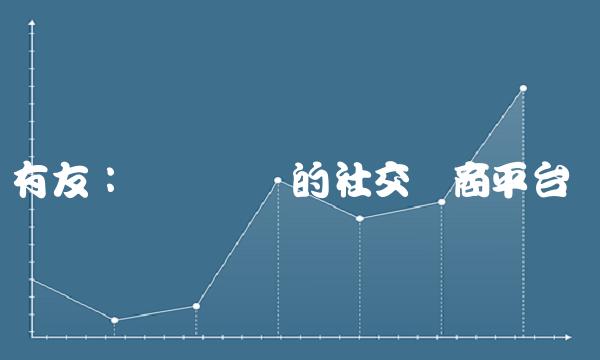 有友：数据驱动的社交电商平台