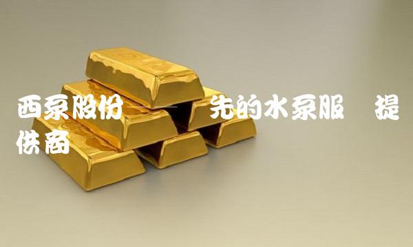 西泵股份——领先的水泵服务提供商