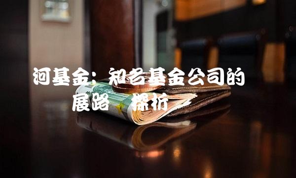 银河基金 知名基金公司的优势总结与发展路径探析