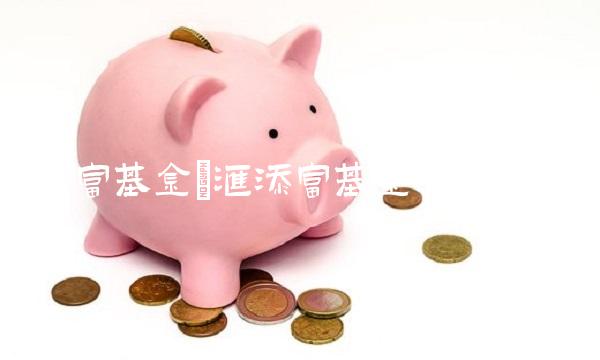 添富基金(汇添富基金的app)