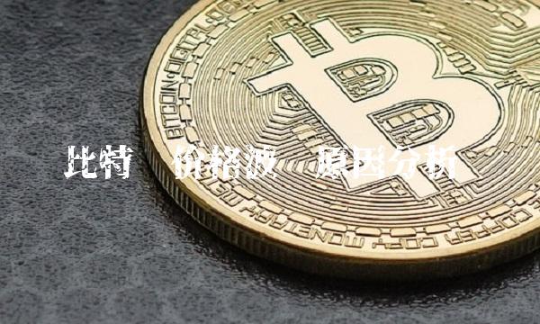 比特币价格波动原因分析