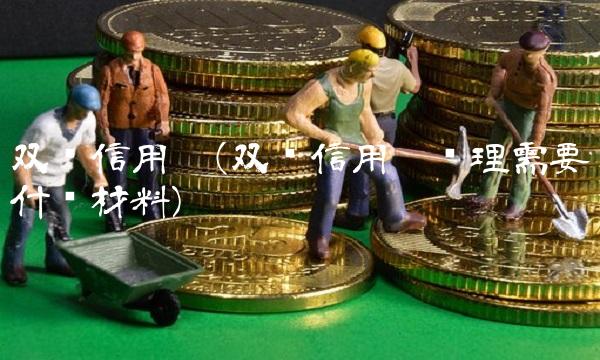 双币信用卡(双币信用卡办理需要什么材料)