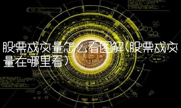 股票成交量怎么看图解(股票成交量在哪里看)