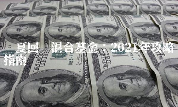 华夏回报混合基金：2021年攻略指南