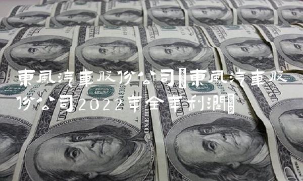 东风汽车股份公司(东风汽车股份公司2022年全年利润)