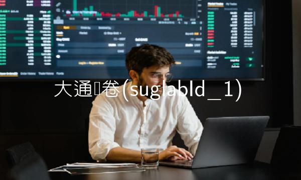 大通证卷(suglabId_1)(3)