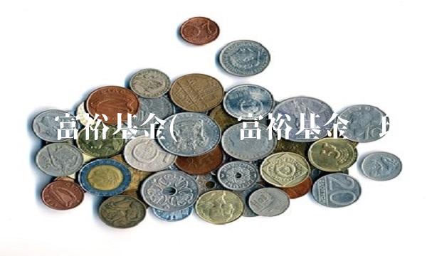 银华富裕基金(银华富裕基金经理)