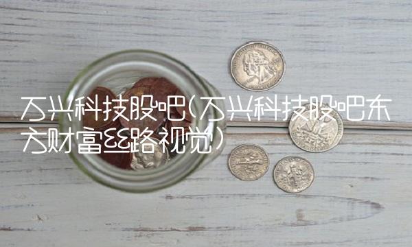 万兴科技股吧(万兴科技股吧东方财富丝路视觉)