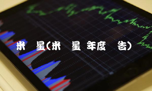 米乐星(米乐星 年度报告)